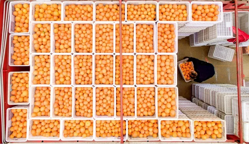 1630578600836932.png 圖片 47.png