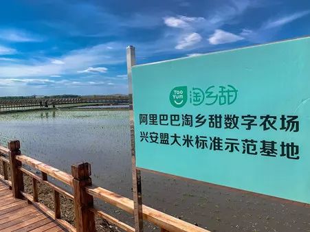 1631788020770126.jpg 197549475.jpg