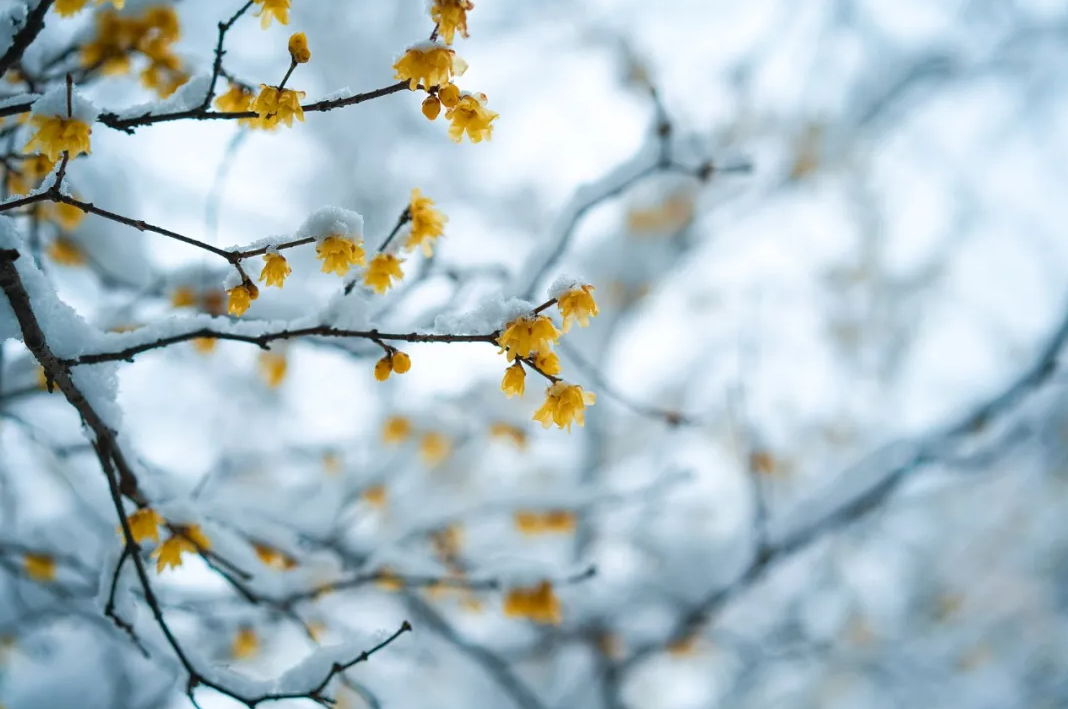 1641809533424652.png 微信圖片_20220110180954.png