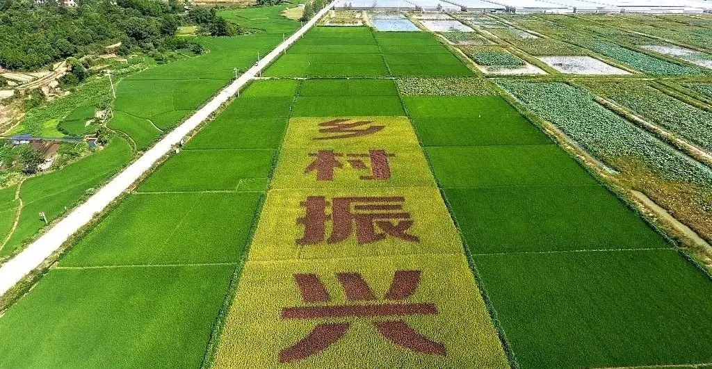 1648516052824312.jpg src=http___qmpres.oss-cn-hangzhou.aliyuncs.com_1614937776479996.jpeg&refer=http___qmpres.oss-cn-hangzhou.aliyuncs.webp.jpg