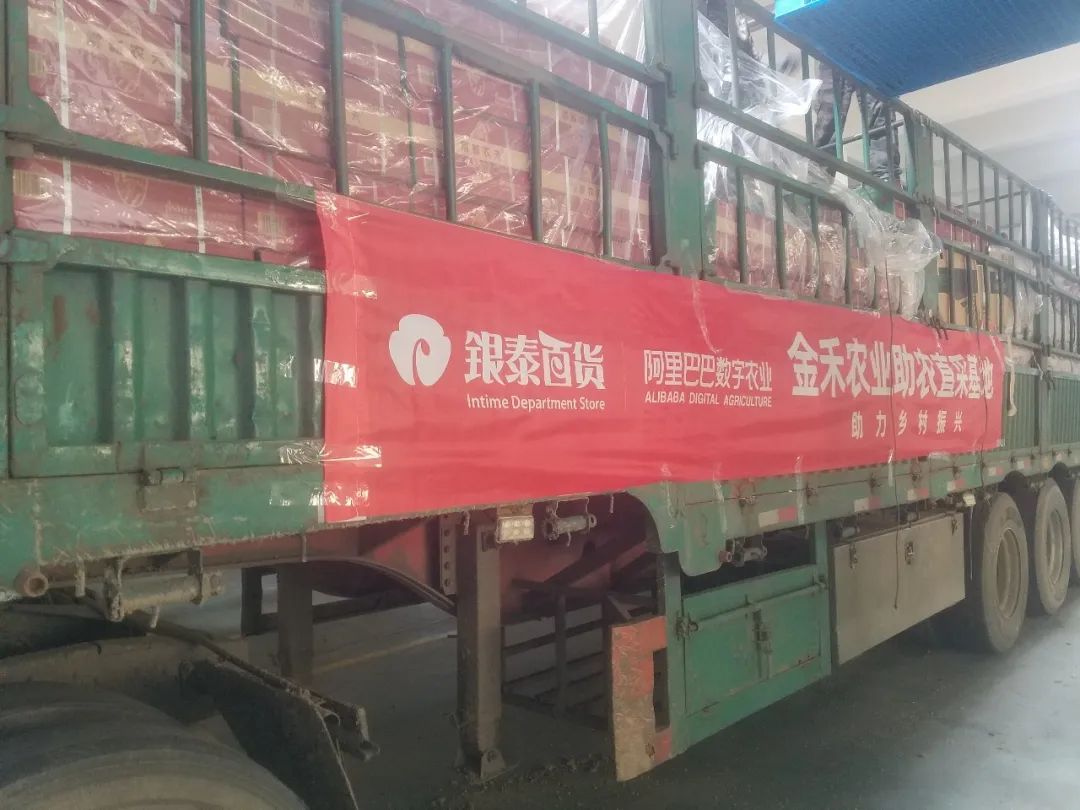 1650416874900382.jpg 31805c5367004311877b7dc9a155c8c8.jpg