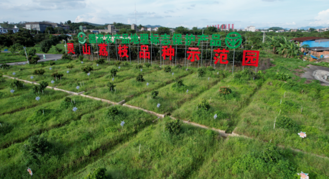 1659088968939650.png 圖片9.png