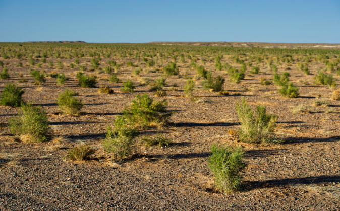 1661769035627407.png image.png