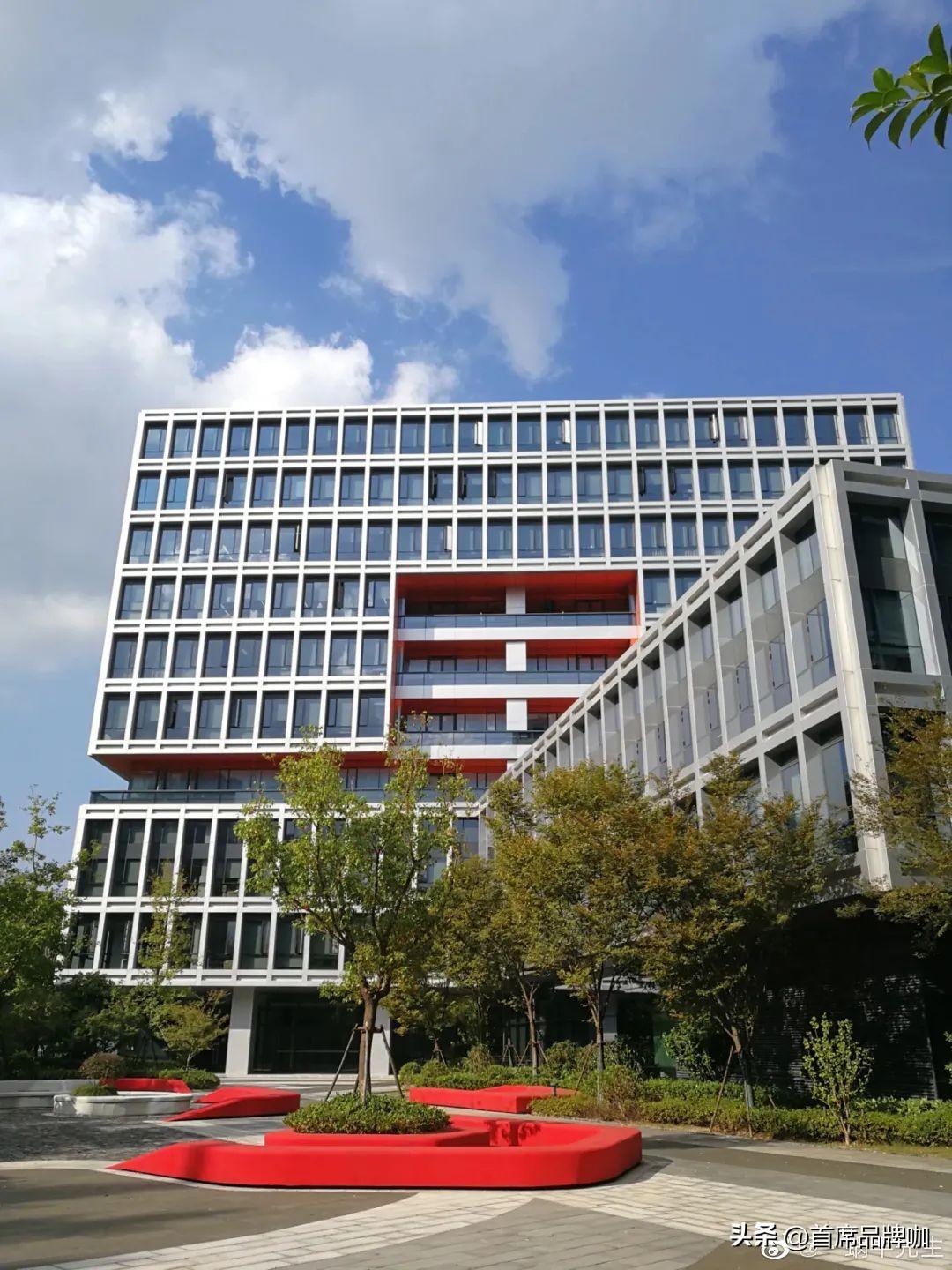 1681883172395256.jpg 2.jpg